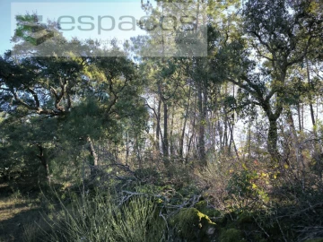 Terreno Agricola ou Rústico para Venda em Salgueiro do Campo