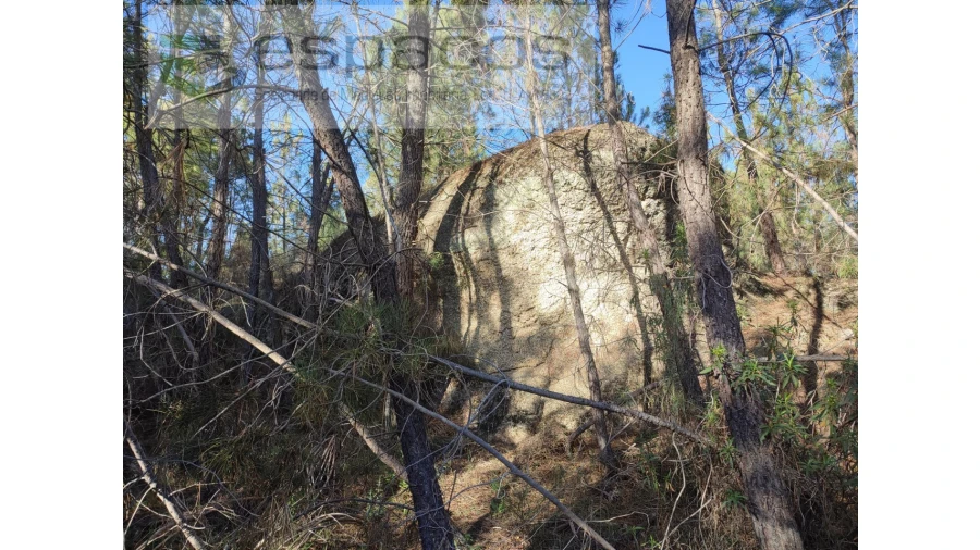 Terreno Agricola ou Rústico para Venda em Salgueiro do Campo Foto 8
