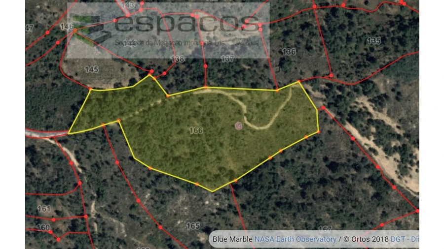 Terreno Agricola ou Rústico para Venda em Salgueiro do Campo Foto 9