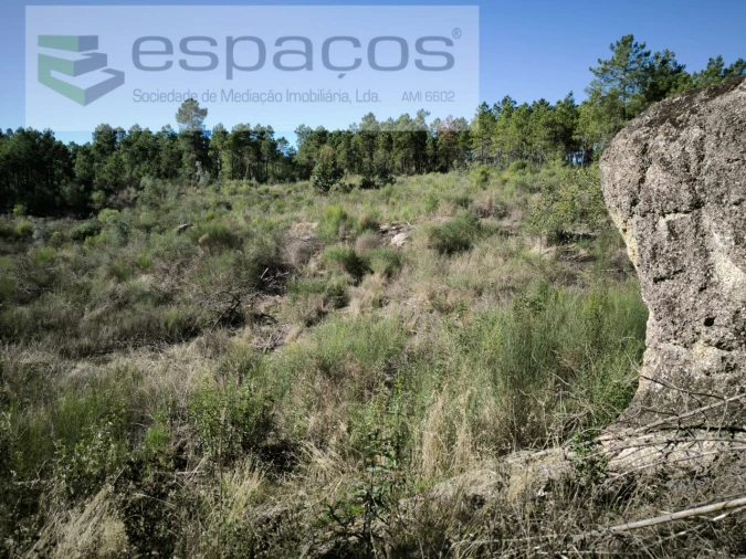 Terreno Agricola ou Rústico para Venda em Salgueiro do Campo