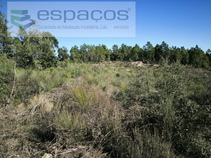 Terreno Agricola ou Rústico para Venda em Salgueiro do Campo Foto 5
