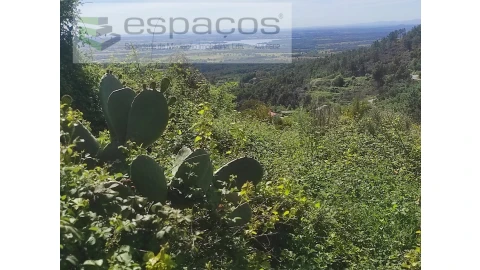 Terreno Agricola ou Rústico para Venda em São Vicente da Beira