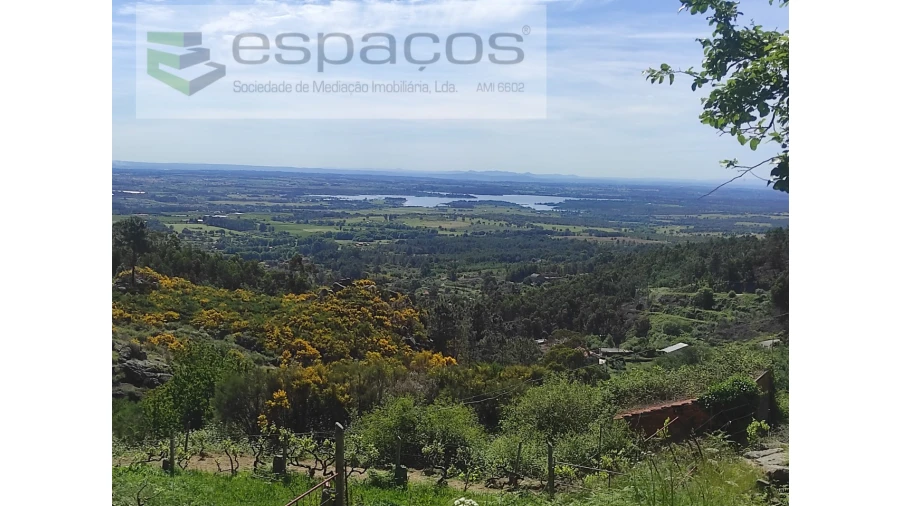 Terreno Agricola ou Rústico para Venda em São Vicente da Beira Foto 6