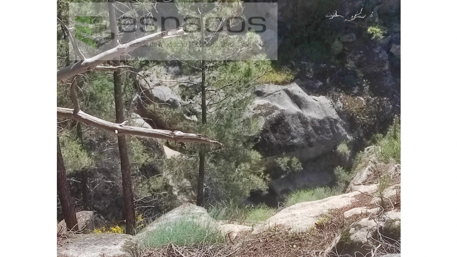 Terreno Agricola ou Rústico para Venda em São Vicente da Beira Foto 8
