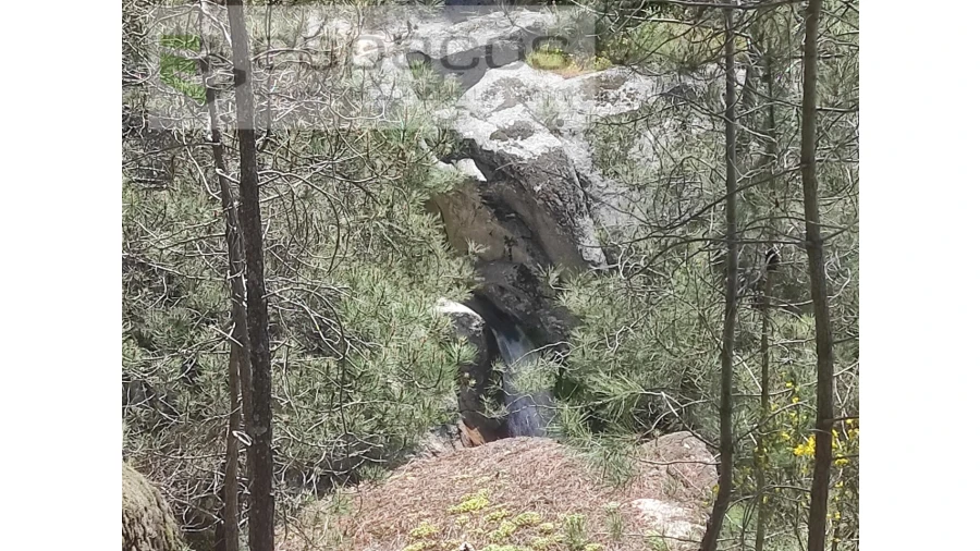Terreno Agricola ou Rústico para Venda em São Vicente da Beira Foto 10