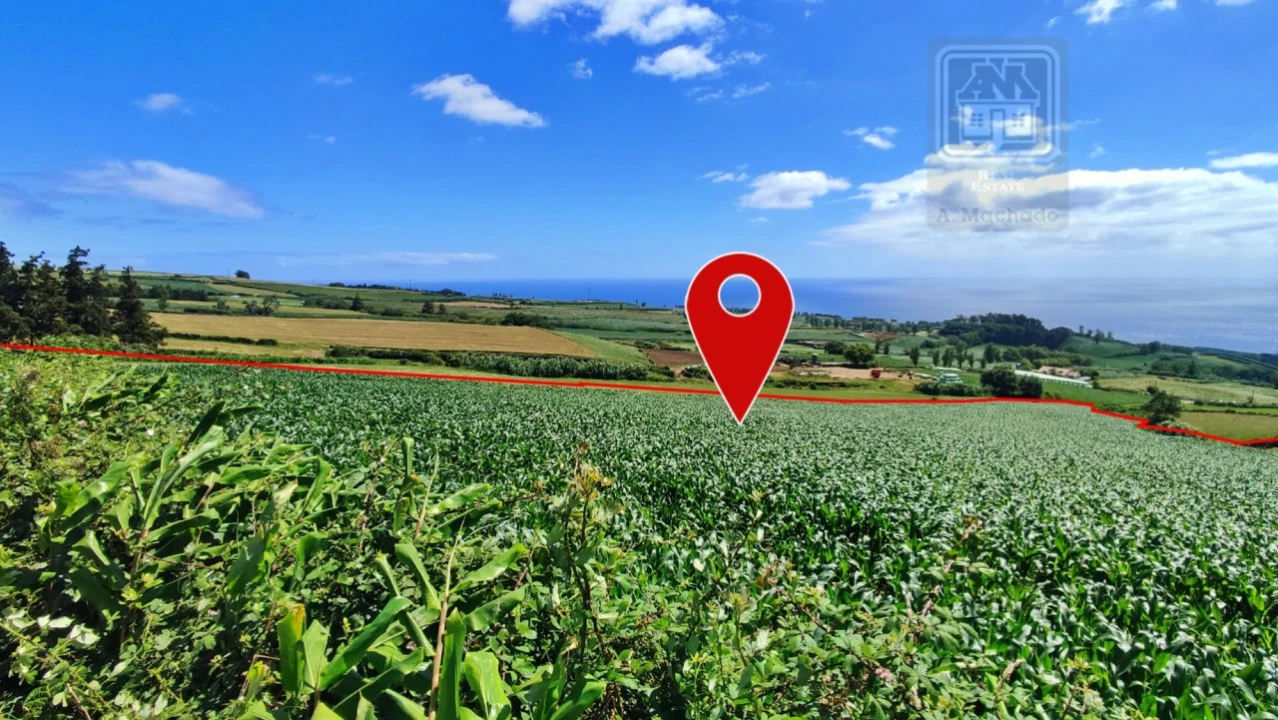 Terreno Agricola ou Rústico para Venda em Lagoa (Santa Cruz) Foto 2