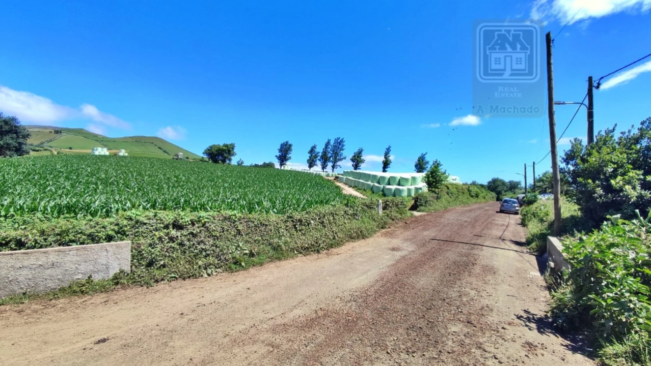 Terreno Agricola ou Rústico para Venda em Lagoa (Santa Cruz) Foto 6