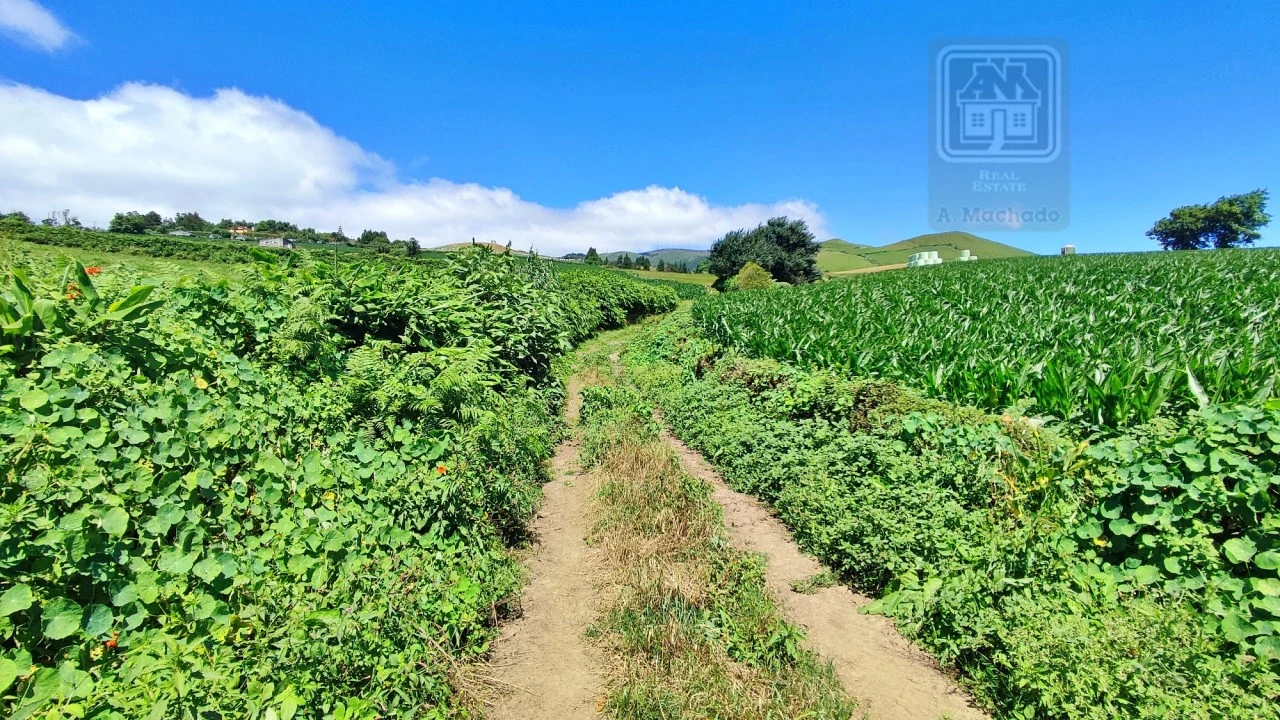 Terreno Agricola ou Rústico para Venda em Lagoa (Santa Cruz) Foto 8