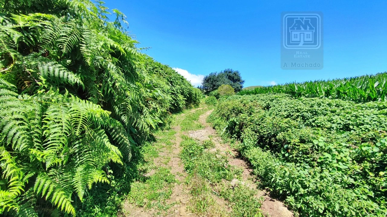 Terreno Agricola ou Rústico para Venda em Lagoa (Santa Cruz) Foto 10