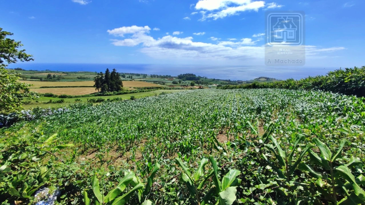 Terreno Agricola ou Rústico para Venda em Lagoa (Santa Cruz) Foto 30