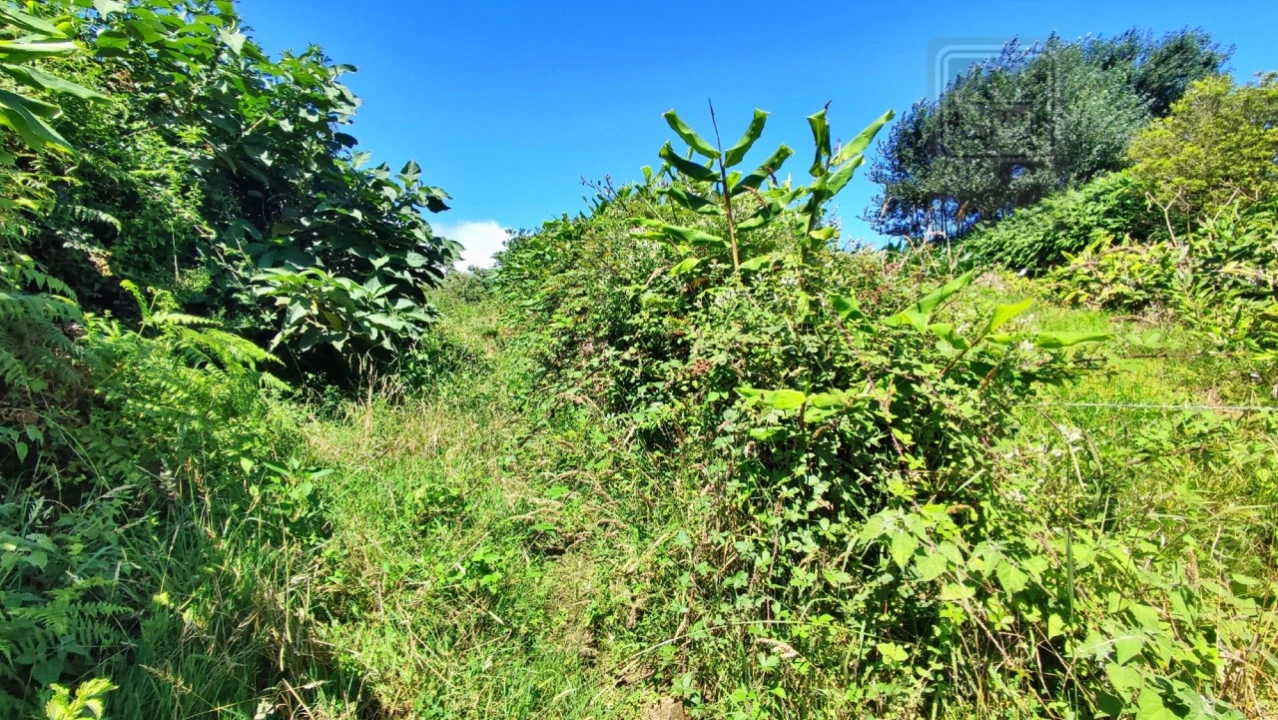 Terreno Agricola ou Rústico para Venda em Lagoa (Santa Cruz) Foto 31