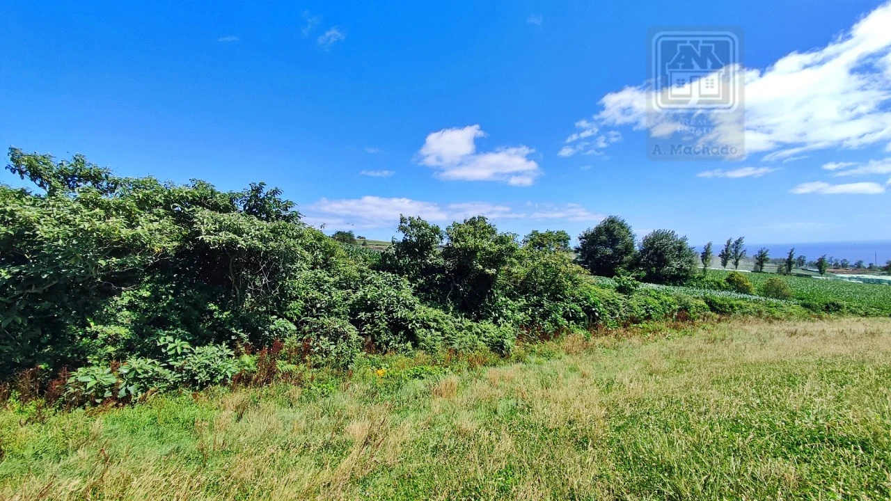 Terreno Agricola ou Rústico para Venda em Lagoa (Santa Cruz) Foto 35