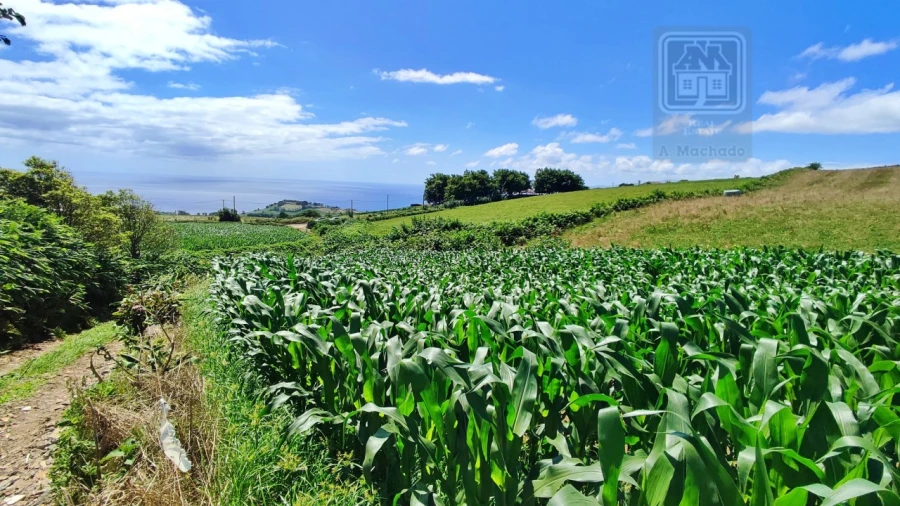 Terreno Agricola ou Rústico para Venda em Lagoa (Santa Cruz) Foto 13