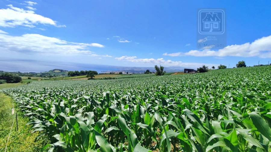 Terreno Agricola ou Rústico para Venda em Lagoa (Santa Cruz) Foto 16