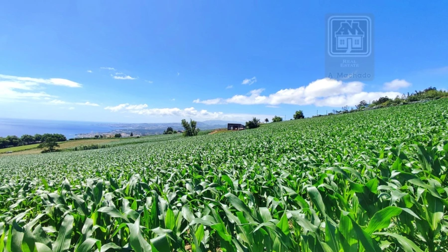 Terreno Agricola ou Rústico para Venda em Lagoa (Santa Cruz) Foto 17