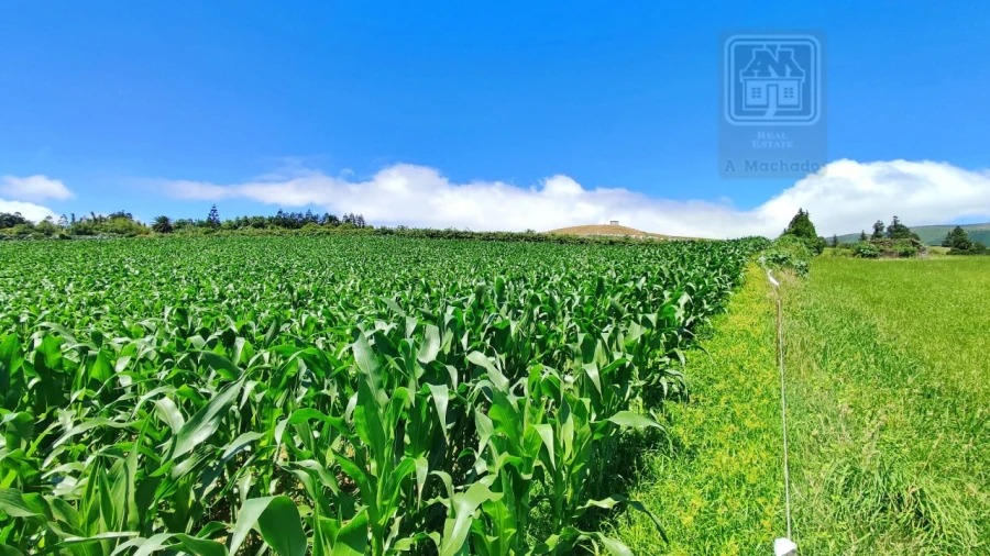 Terreno Agricola ou Rústico para Venda em Lagoa (Santa Cruz) Foto 18