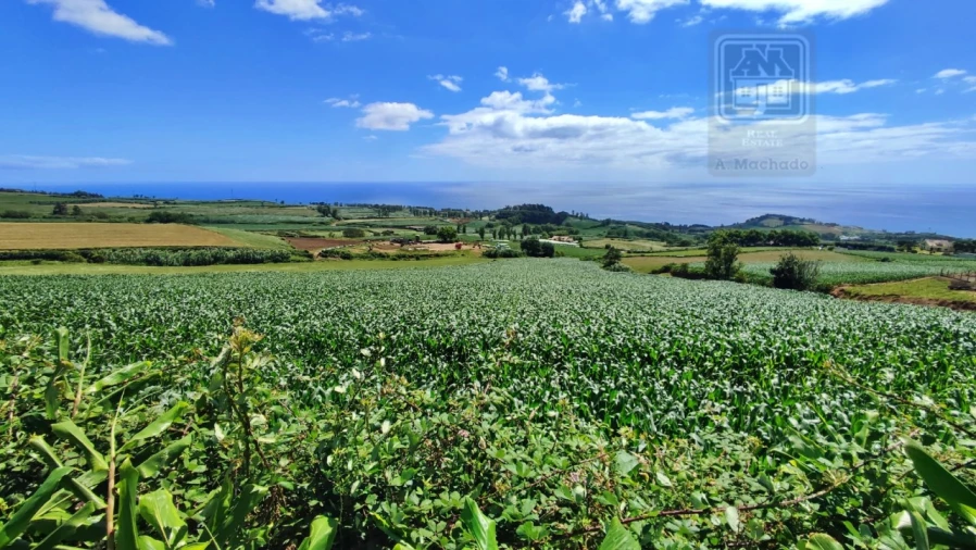 Terreno Agricola ou Rústico para Venda em Lagoa (Santa Cruz) Foto 28