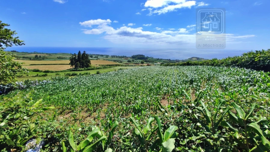 Terreno Agricola ou Rústico para Venda em Lagoa (Santa Cruz) Foto 30