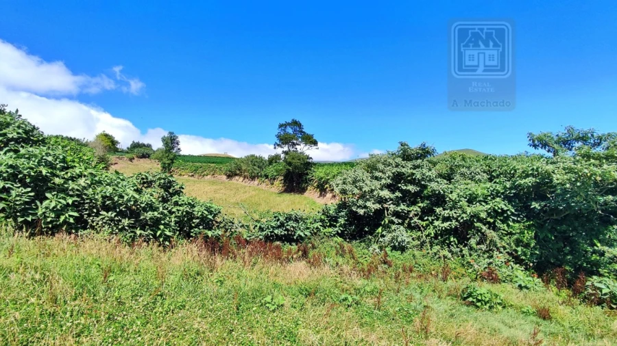 Terreno Agricola ou Rústico para Venda em Lagoa (Santa Cruz) Foto 33