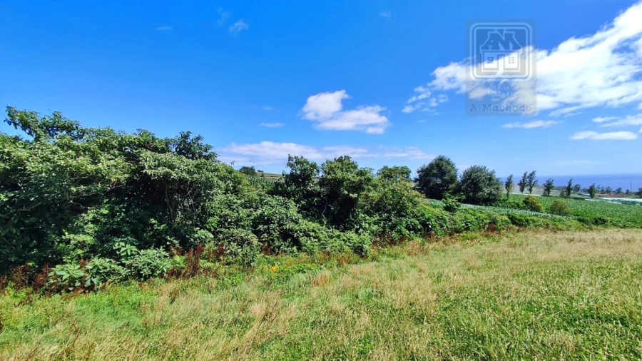 Terreno Agricola ou Rústico para Venda em Lagoa (Santa Cruz) Foto 35