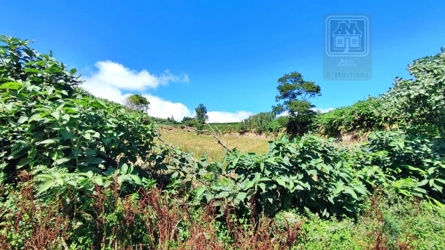 Terreno Agricola ou Rústico para Venda em Lagoa (Santa Cruz) Foto 36