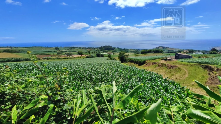 Terreno Agricola ou Rústico para Venda em Lagoa (Santa Cruz)