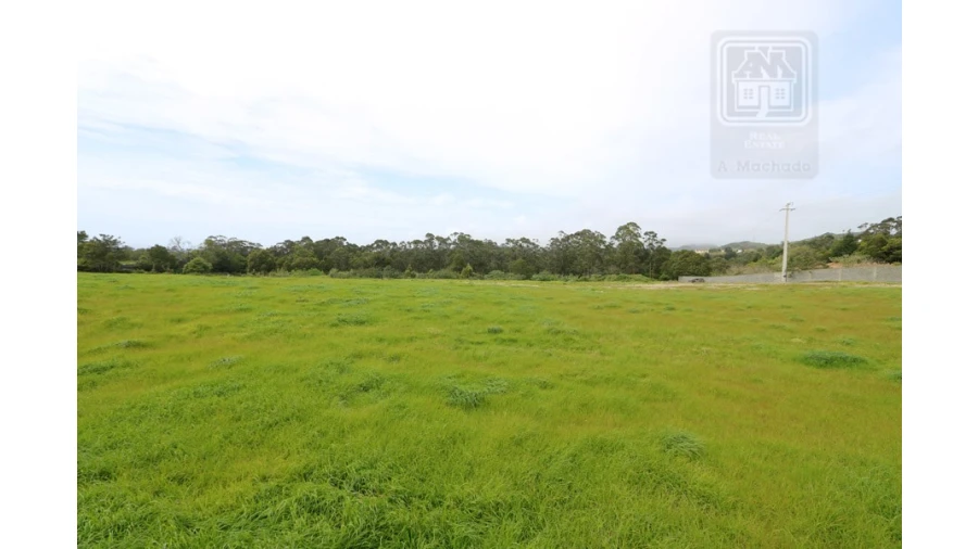 Terreno para Venda em Lagoa (Nossa Senhora do Rosario) Foto 5