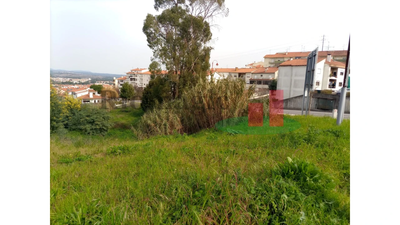 Terreno para Venda em Abrantes (São Vicente e São João) e Alferrarede Foto 11