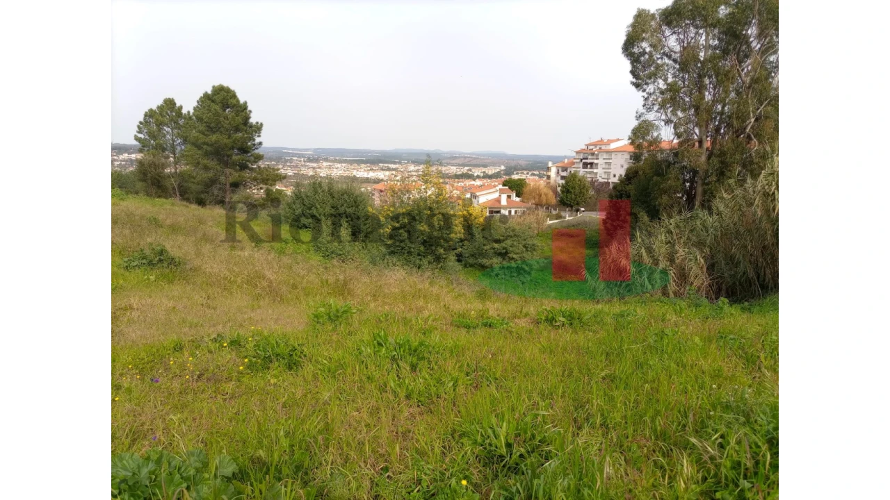 Terreno para Venda em Abrantes (São Vicente e São João) e Alferrarede Foto 3