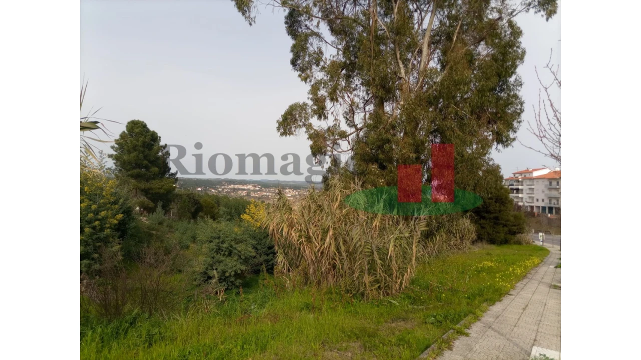 Terreno para Venda em Abrantes (São Vicente e São João) e Alferrarede Foto 12