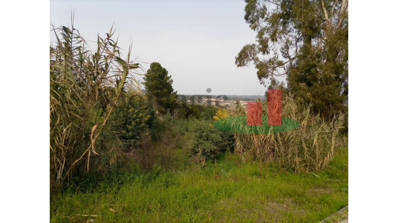 Terreno para Venda em Abrantes (São Vicente e São João) e Alferrarede Foto 14