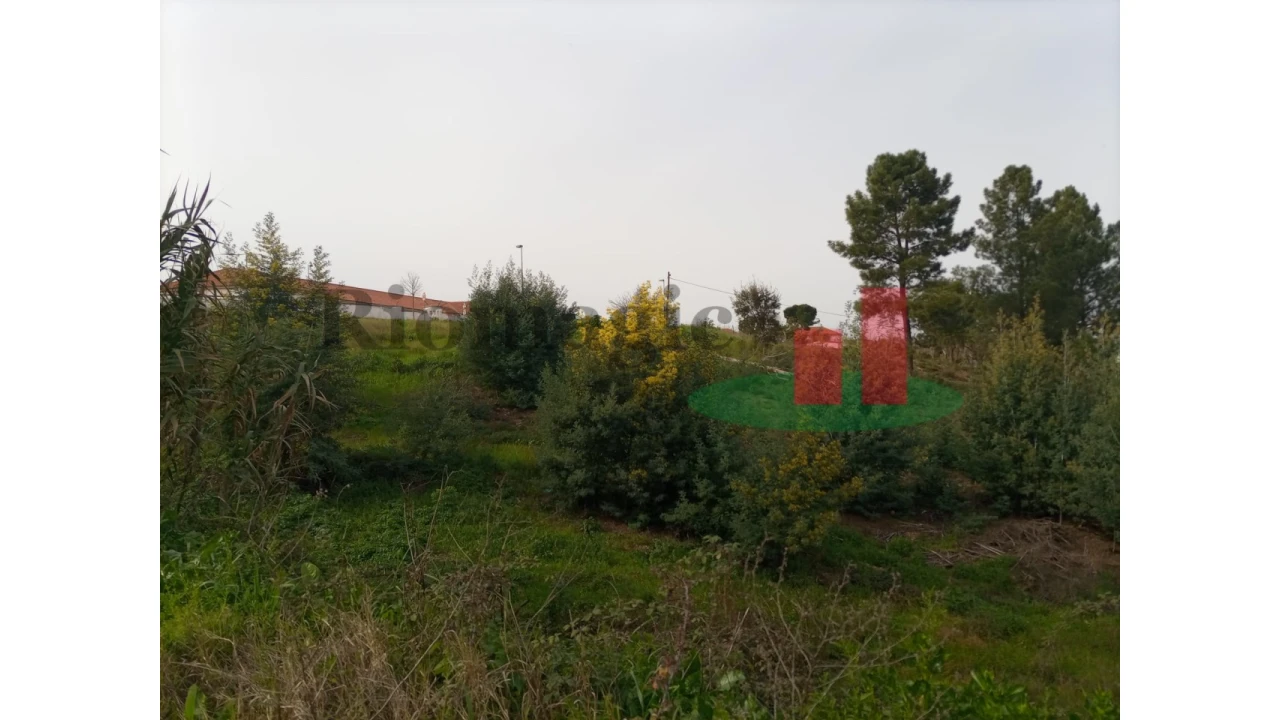 Terreno para Venda em Abrantes (São Vicente e São João) e Alferrarede Foto 16