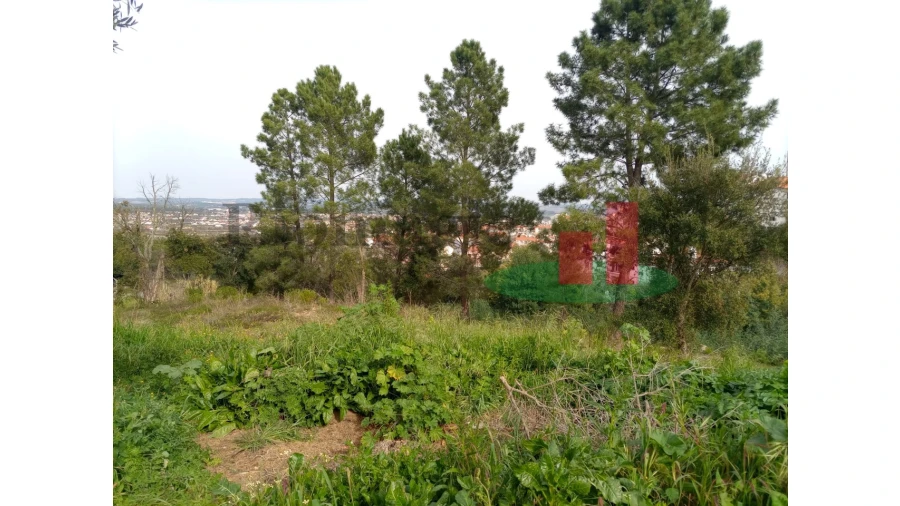Terreno para Venda em Abrantes (São Vicente e São João) e Alferrarede Foto 8