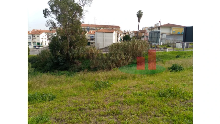 Terreno para Venda em Abrantes (São Vicente e São João) e Alferrarede Foto 2