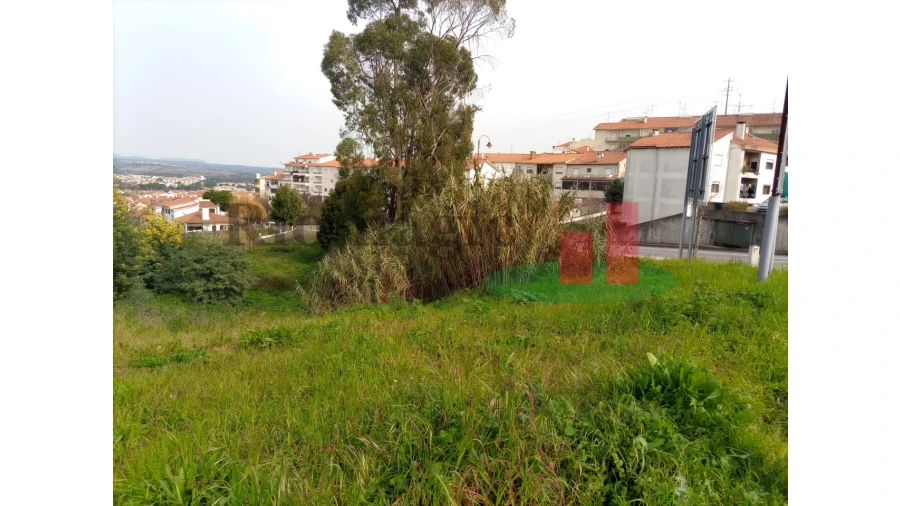 Terreno para Venda em Abrantes (São Vicente e São João) e Alferrarede Foto 11