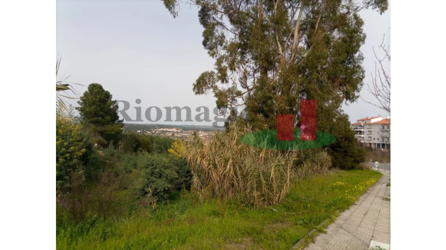 Terreno para Venda em Abrantes (São Vicente e São João) e Alferrarede Foto 12