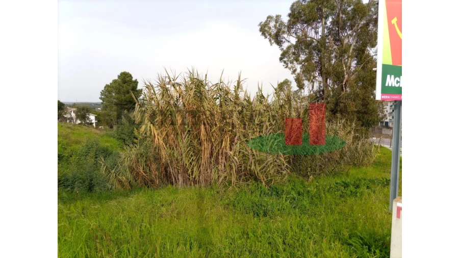 Terreno para Venda em Abrantes (São Vicente e São João) e Alferrarede Foto 7