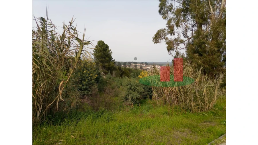 Terreno para Venda em Abrantes (São Vicente e São João) e Alferrarede Foto 14