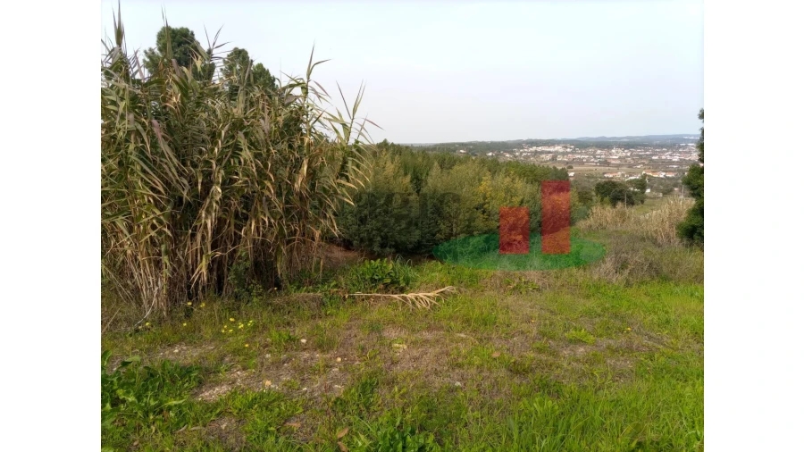 Terreno para Venda em Abrantes (São Vicente e São João) e Alferrarede Foto 15