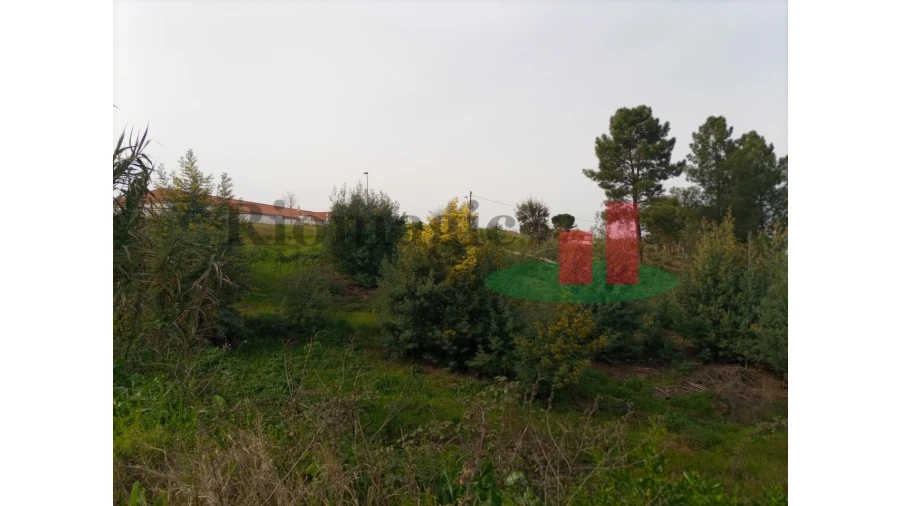 Terreno para Venda em Abrantes (São Vicente e São João) e Alferrarede Foto 16