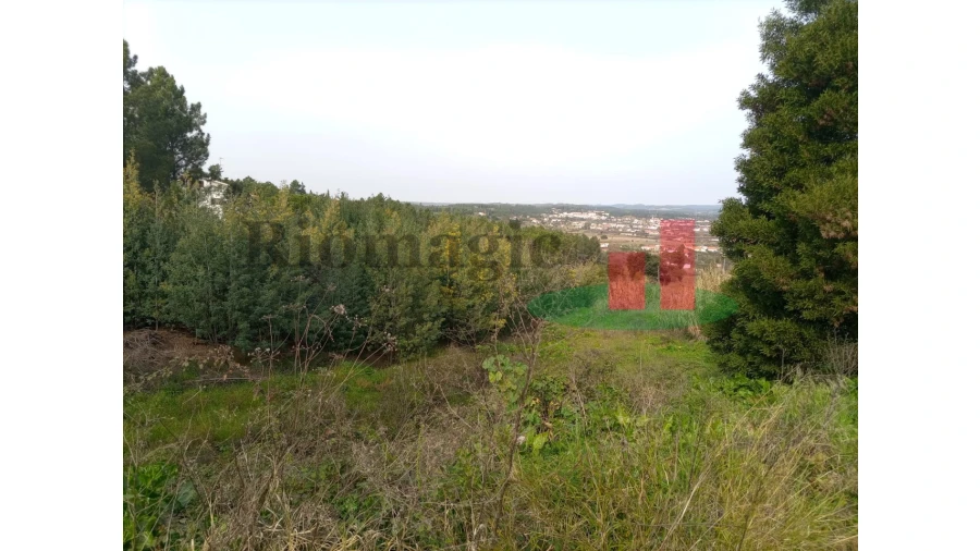 Terreno para Venda em Abrantes (São Vicente e São João) e Alferrarede Foto 17