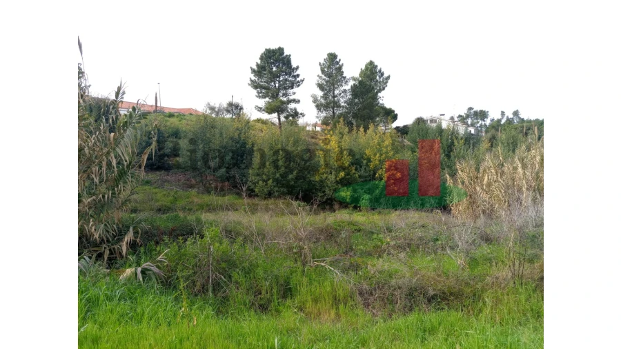 Terreno para Venda em Abrantes (São Vicente e São João) e Alferrarede Foto 20