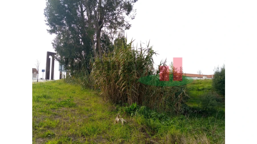 Terreno para Venda em Abrantes (São Vicente e São João) e Alferrarede Foto 19