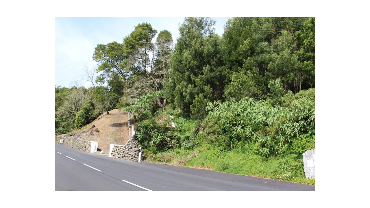 Terreno para Venda em Terra Chã Foto 3