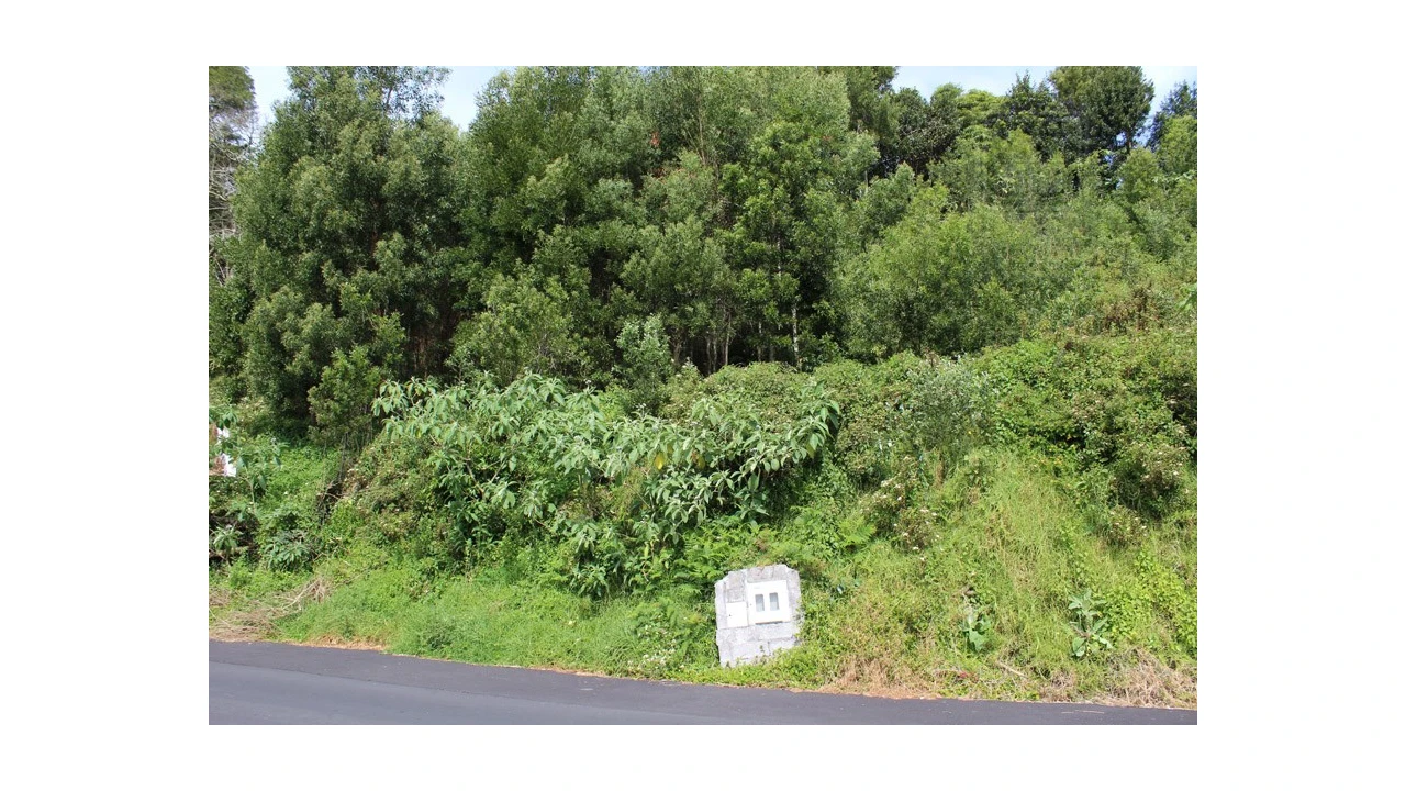 Terreno para Venda em Terra Chã Foto 4
