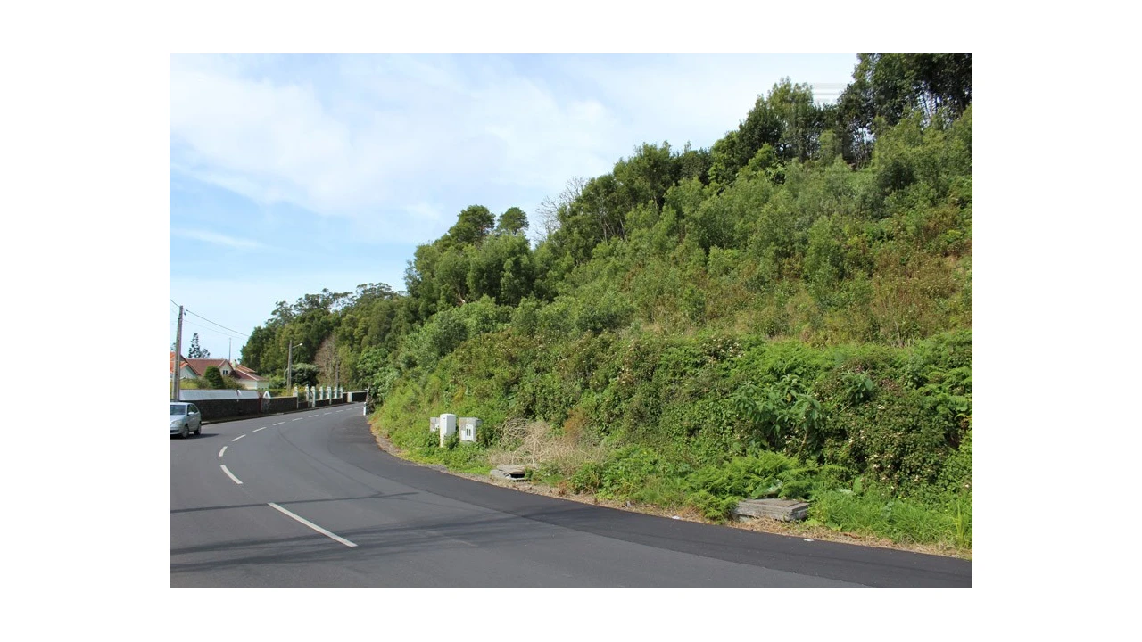 Terreno para Venda em Terra Chã Foto 5
