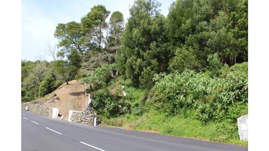 Terreno para Venda em Terra Chã Foto 3