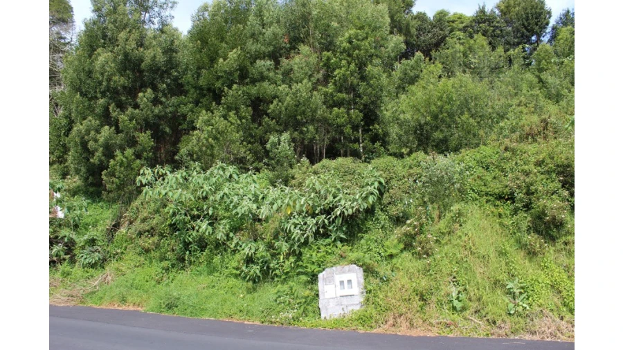 Terreno para Venda em Terra Chã Foto 4