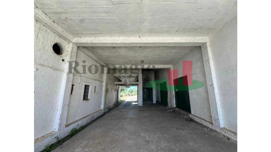 Armazém para Venda em Pussos São Pedro Foto 21