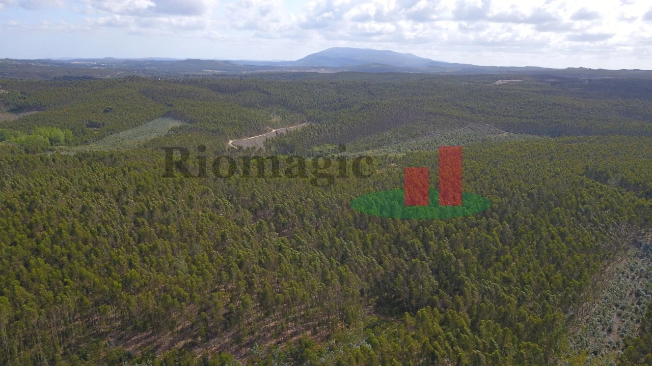 Terreno para Venda em Asseiceira Foto 10